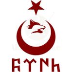 Ay Yıldız Kurt Göktürkçe Türk Sticker Kırmızı 30X20 cm - Standart - Renkli