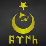 Ay Yıldız Kurt Sticker Göktürkçe Türk Sticker Ay Yıldız Sticker - 30cm x 20cm - Altın