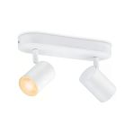 Ayarlanabilir Beyaz Ve Renkli Spot Tavan Lambası, 2X5w