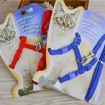 Ayarlanabilir Kedi Boyun ve Göğüs Gezdirme Tasması Renkli