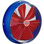 Ayas 30 cm 2800 D/D 220 Volt Monofaze Sanayi Tipi Aspiratör