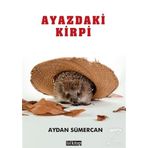 Ayazdaki Kirpi / Aydan Sümercan