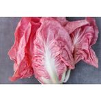 Ayc Botanik 100 Adet Ithal Pembe Marul Tohumu - 1 Paket