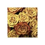 Ayc Botanik 5 Adet Gold Rose Gül Tohumu