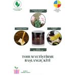 Ayc Botanik Gymnocalycium Horstii Kaktüs Tohumu Yetiştirme Başlangıç Kiti