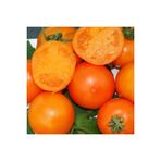 Ayc Botanik Mandarin Orange Domates Tohumu