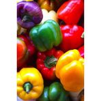 Ayc Botanik Renkli California Biberi Tohumu /eko Paket 100 + Adet - 1 Paket