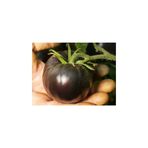 Ayc Botanik Siyah Domates Tohumu 20 Adet Tohum Black Tomato