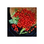 Ayc Botanik Sweet Pea Currant Domates Tohumu