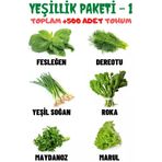 Ayc Botanik Yeşillik Paketi-1 Fesleğen, Dereotu, Soğan, Roka, Maydanoz, Marul Tohum Seti, Toplam +500 Adet Tohum