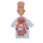 Aydede Oyunevi İnsan Vücudu Oyuncak - Okul Öncesi Eğitici Puzzle İç Organlarımız Seti
