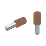 Ayder 1807-1 Kahve (25 Adet) Plastik Başlı Metal Raf Pimi