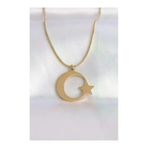 Ayder Timya P190446S8602 316L Çelik Zincir Gold Renk Ay Yıldız Unisex Kolye (Timya/1395) 190446