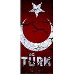 Aydın Garage Kurt ve Türk Bayrağı Kapı Direk Kaplama Folyosu Baskılı Sticker Sağ-Sol 2 Adet 22*50 cm - 22x50 - 001-Renkli