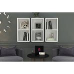 Aydın Kitaplıklı Raf, Dvr-1056