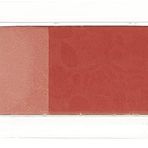 Aydınlatıcı& Allık-Freedom System Fusion Blush & Illuminator 203se