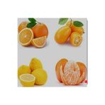 Aydoğdu Tüplü Aşılı Narenciye Paketi Limon Portakal Kamkat Mandalina