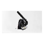 Ayforce 5 Hp Sırt Tipi Yaprak Üfleme Makinesi EB985