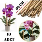 Ayg Home Bitki Destek Çubuğu Hasır Doğal Çubuk Orkide Sarmaşık Çiçek Türü Destek Çubuğu 10 Adet