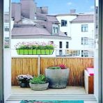 AYGHOME 80 Cm x 2.50 Metre Kamış Hasır Balkon Çiti Bahçe Çiti Bambu Çit Dekorasyon