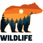 Ayı - Doğa - Manzara - Kamp - Wild Life -Off Road - Adventure -Bear - Kamp Wildlife Offroad Sticker 02060 - 100x90 Cm - Renkli