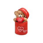 Ayıcı Oyuncak 140 Özel Kalpli (I Love You) Yazılı Sevimli Peluş Ayıcık - Peluş Çanta Içerisinde Sevgiliye