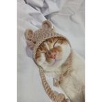 Ayıcık Bere Örgü Kedi Köpek Şapkası Evcil Hayvan Şapkası Pet Aksesuarları