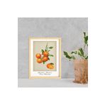 Ayışığı Dizayn Mutfak Vintage Fruits Mandalina-Mandarin Ahşap Çerçeveli Poster Tekli Dekor Duvar Tablo Seti;Bej 21 X 30