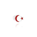 AYKAT Türk Bayrağı Rozeti Gümüş Ay yıldız Yaka İğnesi Kırmızı Bayrak TRZ-09