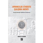 Ayrımcılık Etnisite Çalışma Hayatı Sosyal Psikolojik Faktörlerin Araştırılması - Maviş Yıldırım
