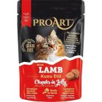 AyrStore 24'lü Jöleli Kuzu Etli Yetişkin Kedi Poşet Maması (85 gr x 24)