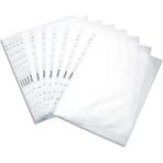 AyrStore 479915 Poşet Dosya A4 11 Delikli (100 Adet) Buzlu