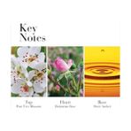 AyrStore Arden Tea Rose Body Krem 400ML - Option-1