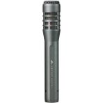AyrStore Audio-Technica AE5100 Kardioid Kondansatör Enstrüman Mikrofonu