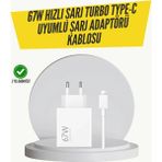 AyrStore Buğz 67W Turbo Hızlı Şarj Adaptörü ve Type-C Kablo Güvenli Şarj Teknolojisi - Çok Renkli