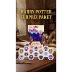 AyrStore Buğz Harry Potter Koleksiyon Sürpriz Figür Oyuncak Seti - Çok Renkli