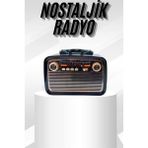 AyrStore Buğz Müzik Kutusu Bluetooth Bağlantılı El Fenerli Nostaljik Tasarım Radyo - Çok Renkli