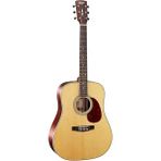 AyrStore EARTH100NS Akustik Gitar