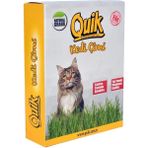 AyrStore Gerçek Topraklı Kedi Çimi