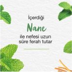 AyrStore Himalaya Since 1930 Nane Ferahlığı Bitkisel Diş Macunu, Florürsüz, Parabensiz, Vejeteryan, Ferah Nefes, 75 ml - Option-1