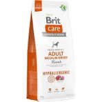 AyrStore Hypoallergenic Köpek Kuru Maması, Yetişkin Orta Irk, 3 kg