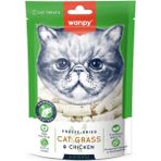 AyrStore Kedi Dondurulmuş Kedi Çimi ve Tavuklu Ödül 20G