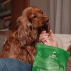 AyrStore Kito Dana Akciğer Küp Atıştırmalık Köpek Ödül MAMASI%100 Doğal, Glutensiz, Organik 100 gr (Dog Treat) - 0,10 kg