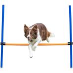 AyrStore Köpek Agility Eğitim Manisi , 123×115×Ø3 cm