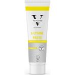 AyrStore L-Lysine Kedi Bağışıklık ve Solunum Yolu Destekleyici Paste 100 gr