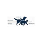 AyrStore Obivan Premium Hipoalerjenik Somonlu Köpek Maması 15 kg - Tüy Dökülmesini Azaltan, Kolay Sindirilen, Bağışıklık Destekleyici, Yüksek Proteinli Mama - 0,01 gr