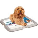 AyrStore Pawise Seyyar Köpek Tuvaleti Ped Kabı