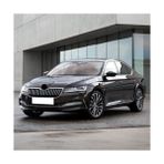 AyrStore Tekerlek Bijon Kapağı Gri 5 Adet 1Z0601173 Superb 3 ile Uyumlu 2020-2023 - Option-1 - Var