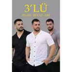 Ayşegül hediyelik Ayşegul hediyelik Erkek Waffle Dokuma Açık Yakalı Düğmeli Regular Kalıp 3’lü Gömlek Seti - Siyah, Be