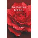 Ayşegül Özkaraman'ın A7 Kitap Bir Dinlesen Kalbini Ciltsiz 252 Sayfa Türkçe Yayın